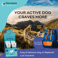 thumbnail image 5 of Petralyte Dog Electrolyte and Joint Supplement | for Beef Lovers | 16 Packets, 5 of 7
