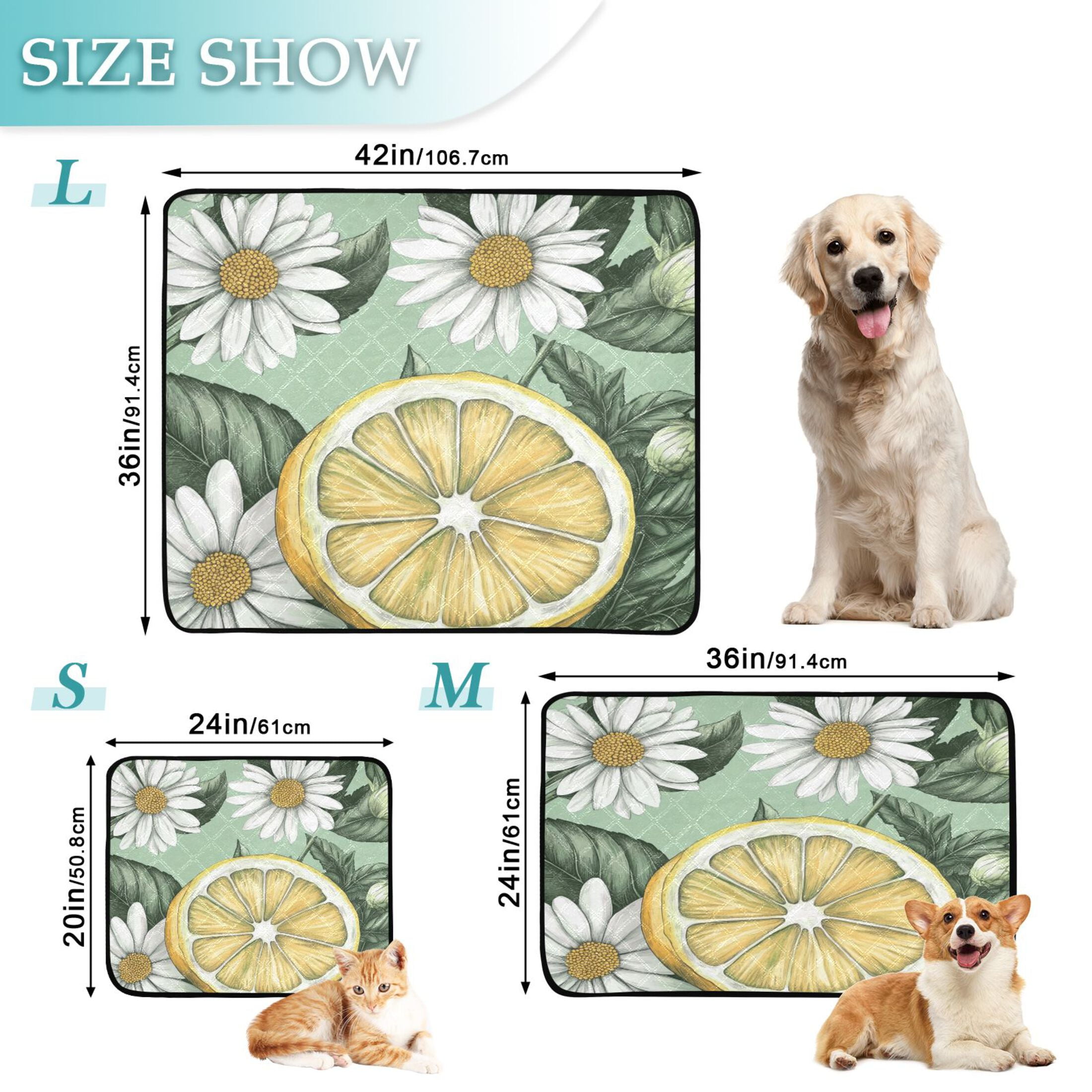 Qxltty White Daisies with Lemons Pattern Cat litter Pads Pet Set of 3 Diaper Mats Center Anti-leakage Layer Absorbent Soft and Comfortable