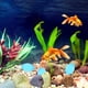 thumbnail image 4 of 1 Juego de piedras para acuario, gravas multifunción para acuario, guijarros decorativos para maceta, piedras que brillan en la oscuridad, grava para acuario, 4 of 5