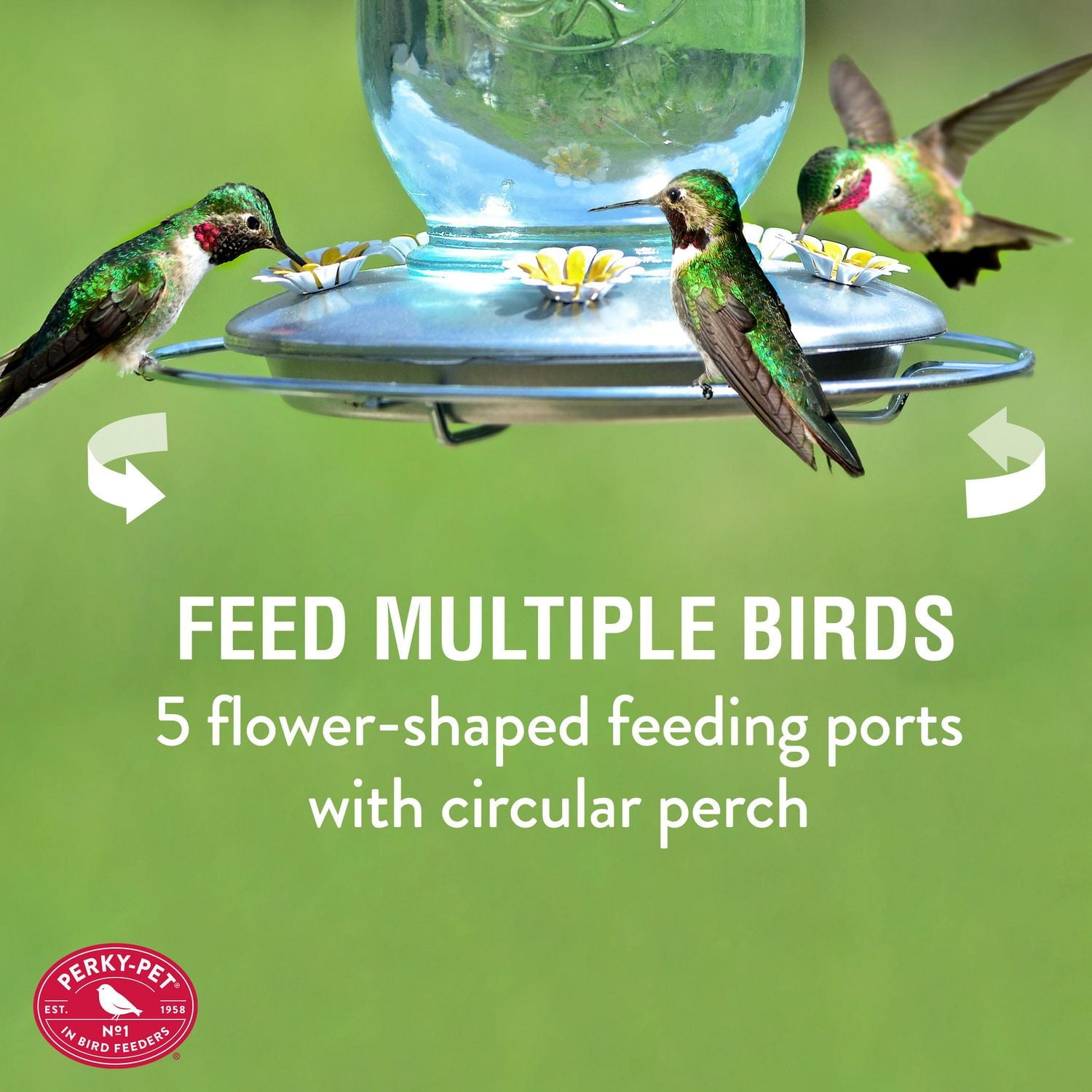 Perky-Pet 32 oz Mason Jar Hummingbird Feeder