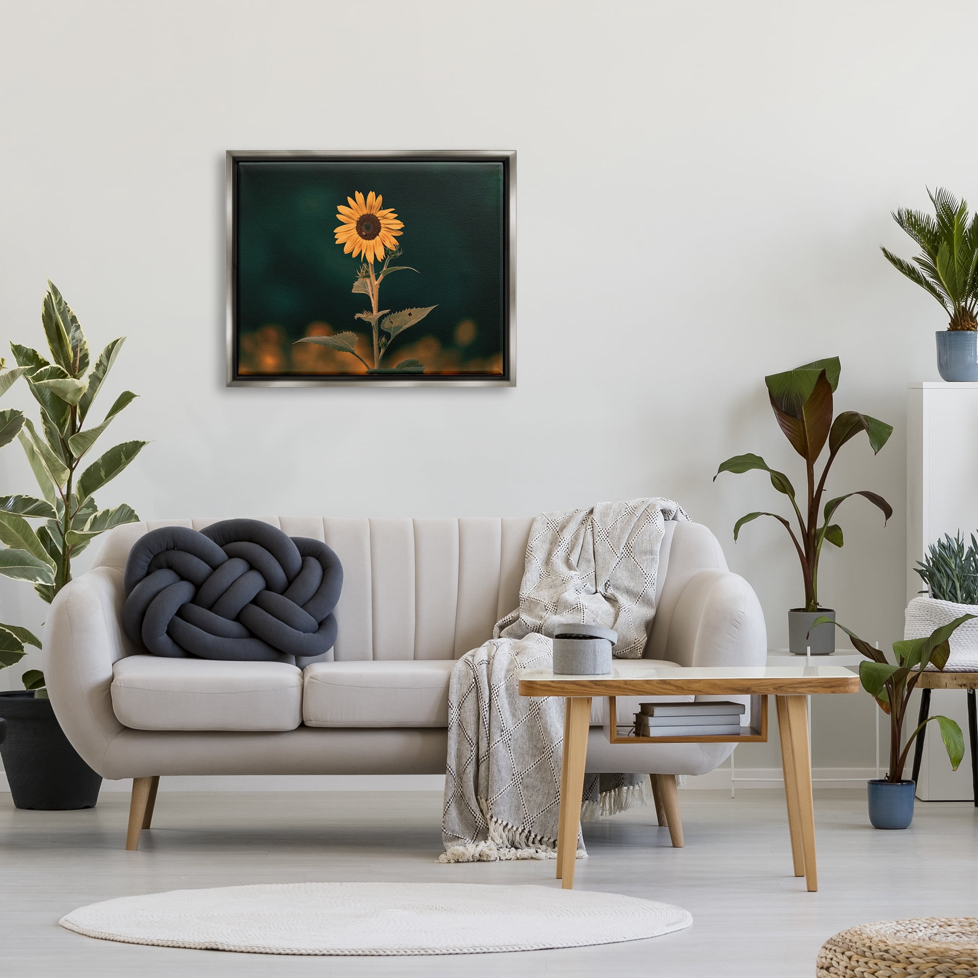 Stupell Industries Dark Sunflower Nature Botanical & Floral Photography Gray Floater Framed Canvas Art Print Wall Art, 31 x 25
