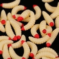 thumbnail image 4 of Paquete de 50 Uds. Señuelo de Pesca Sharpla Larva de Cebos Blandos Color Beige 2 Piezas, 4 of 8