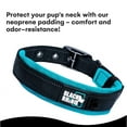 thumbnail image 4 of Black Rhino Comfort Collar Ultra Soft X-Large Aqua/Grey, 4 of 6