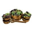 thumbnail image 3 of Kalmar Home 10-Inch Acacia Wood Large Dragor Salad Bowl with 4 Individuals, 3 of 4
