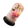 thumbnail image 3 of Lámpara de noche LED creativa con forma de rosa en cúpula de cristal y base de madera, con flores artificiales, ideal como regalo para Navidad, San Valentín, bodas, sin batería (tubo largo colorido), 3 of 7
