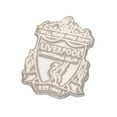 thumbnail image 1 of Liverpool FC Sterling Silver Stud Earring, 1 of 1