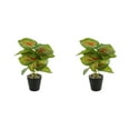 thumbnail image 1 of Yuarrent Plantas artificiales realistas, flores falsas en maceta de tortuga para el hogar, la oficina, el jardín, la decoración de la sala de Type3 NO3, 1 of 6