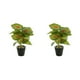 thumbnail image 4 of Advancent Planta en maceta de tortuga ecológica, plantas artificiales de bajo mantenimiento para decoración de balcón, sala de estar JH5474 JH5474 2Conjunto, 4 of 6