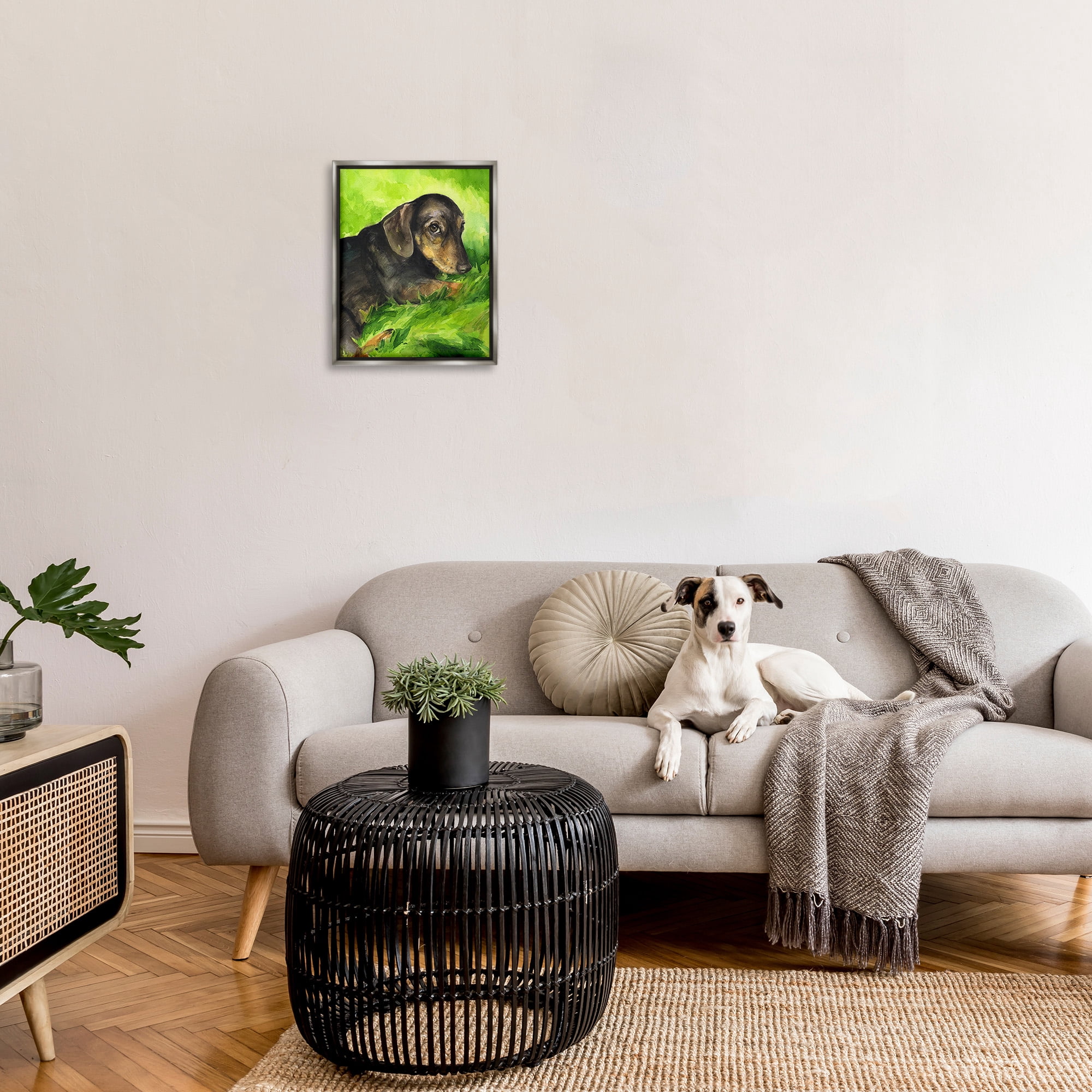 Stupell Industries Dachshund Relaxing in Grass Animals & Insects Painting Gray Floater Framed Canvas Art Print Wall Art, 17 x 21