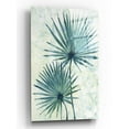 thumbnail image 1 of Epic Art 'Palm Leaves II' by Tim O'Toole, Acrylic Glass Wall Art, 16"x24", 1 of 3