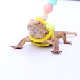 thumbnail image 3 of Adjustable Bearded Dragon Leather Harness Leash, Lizard Traction Rope Comfortable Durable   Lizard Reptiles Harness Leash For Amphibians And Other Small Pet Animals, 3 of 8