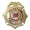 Gold, variant on Hero’s Pride Volunteer Firefighter Badge with Phoenix Seal, Enameled & Plated Finish, 2-1/4" x 3-1/8", Silver