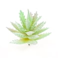 thumbnail image 1 of Hearth & Gear Succulentes Réalistes pour Maison Bureau Arrangements Modernes et Centres de Table Fleurs pour Décorations d'Œillets Mariage pour Réception Fleurs de Noël pour Décorations de Mariage, 1 of 5