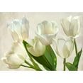 thumbnail image 3 of Villa, Luca 14x11 Black Modern Framed Museum Art Print Titled - White Tulips, 3 of 5