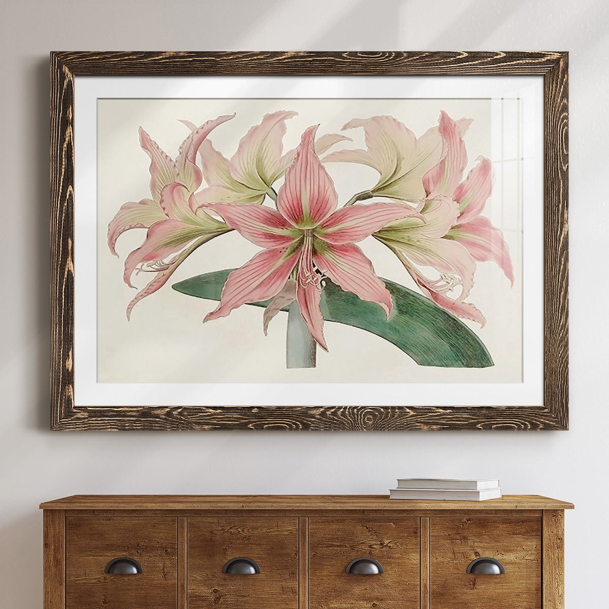 Amaryllis Varietals I-Premium Framed Print - Ready to Hang