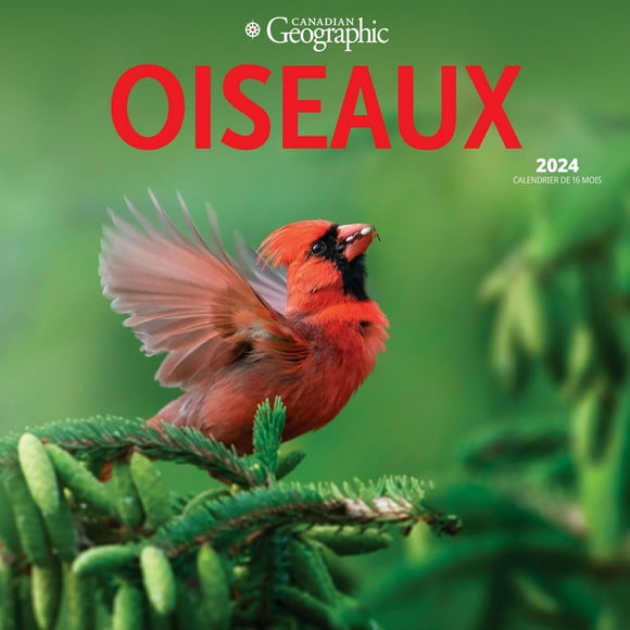 Wyman Publishing Oiseaux par Canadian Geographic 2024 Mur Carré 30.48x60.96 CM, 9781525611414