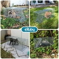 thumbnail image 2 of eXuby Large Cat Trap for Stray / Feral Cats & Other Animals - 31"x12"x13” - Catch them Live & Relocate - Extra Large 8.5" Trigger Platform - Also for; Racoon, Rabbit, Possum, Skunk, Bobcat, Squirrel, 2 of 7
