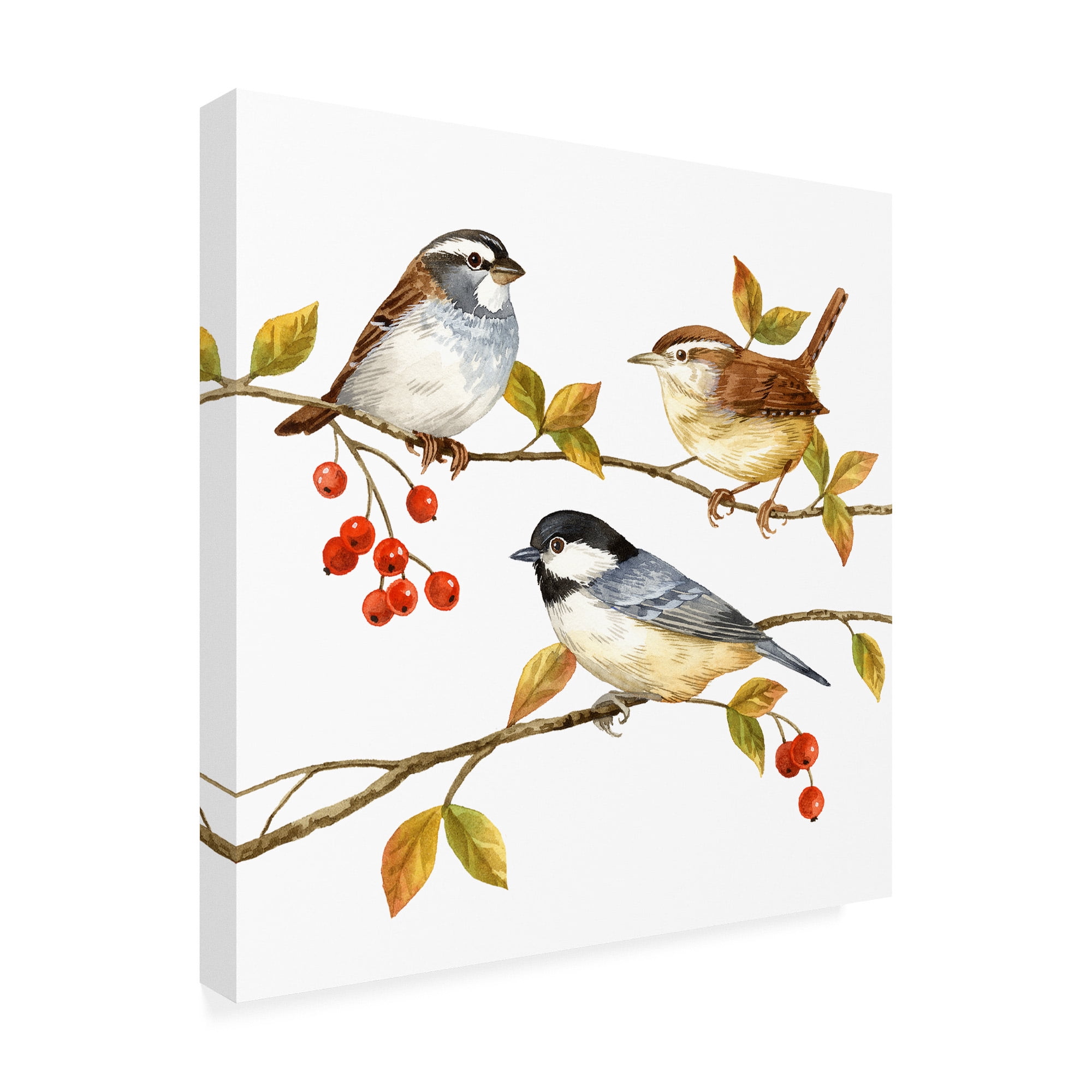 Trademark Fine Art 'Birds And Berries I' Canvas Art by Jane Maday