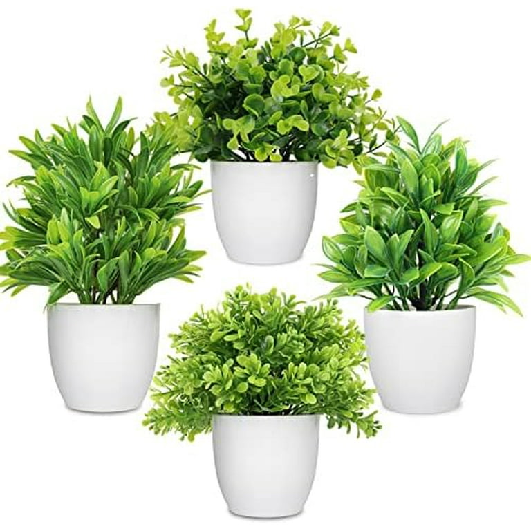 planting petunias in pots Buy Red White and Blue Petunia Combo Pot Online |Patriotic Plants main image 1
