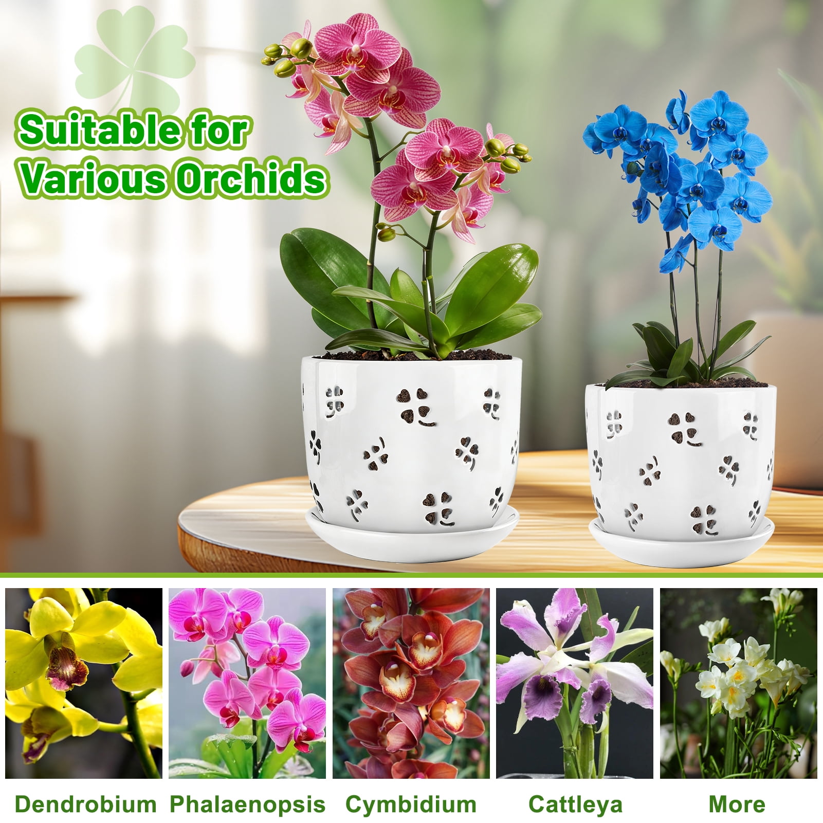 Yalumo 2 Pack Ceramic Orchid Pots with Holes, 5 & 6 Inch Large Orchid Planters with Drainage and Saucers for Repotting, Breathable Flower Pots for Indoor Outdoor Orchids and Succulents