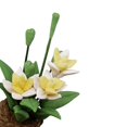 thumbnail image 2 of DIY Mini House Miniature Flower Plant Ceramic Pots Garden Decorative Accessories, 2 of 5
