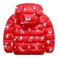 thumbnail image 2 of VerPetridure Toddler Baby Boys Girls Winter Hooded Coats Lightweight Puffer Padded Warm Jacket Bear Hoodies Infant Outerwear, 2 of 5