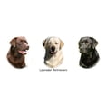 thumbnail image 3 of CafePress - Labrador Retrievers Large Mug - 15 oz Ceramic Large White Novelty Mug, 3 of 4