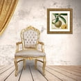 thumbnail image 3 of Vision Studio 20x20 Gold Ornate Wood Framed with Double Matting Museum Art Print Titled - Cropped Turpin Tropicals V, 3 of 4