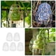 thumbnail image 5 of 5 moldes para dar forma a las frutas, moldes transparentes para dar forma a las frutas de ginseng, moldes para cultivar vegetales., 5 of 7