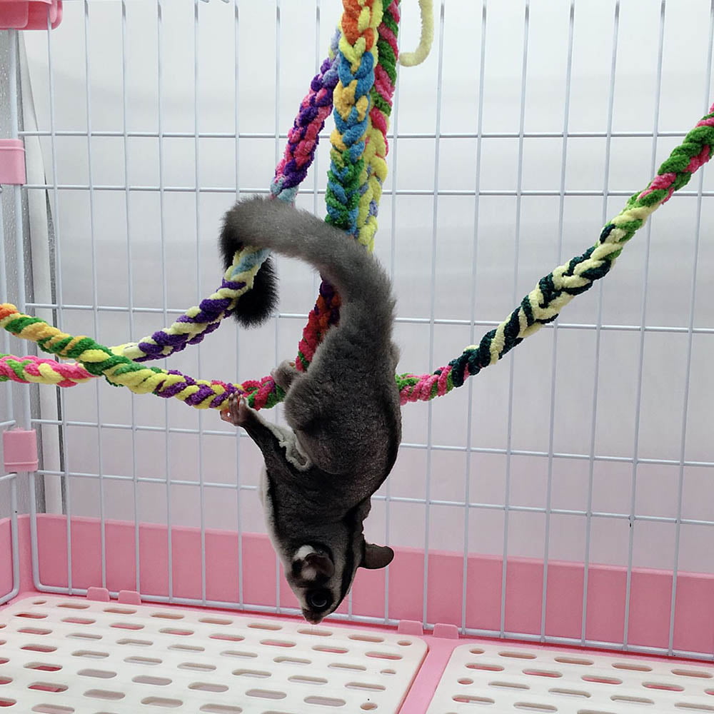 Hanging Sugar Glider Toy Cage Accessories 250 PCS Plastic C-Clips Hook Chain Links Swing Toy Bird Rope Perch  JSLZF Sugar Glider Climbing Toys 