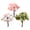 3pcs, variant on D-GROEE 15Pcs Miniature Fairy Garden Cherry Blossoms Ornamentm, Miniature Dollhouse Pots Decor Moss Bonsai Micro Landscape DIY Craft Garden Ornament