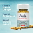 thumbnail image 2 of Bêche Sea Cucumber Capsules 600mg 30 Count, 2 of 5