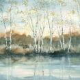 thumbnail image 3 of Robinson, Carol 20x20 Black Modern Framed Museum Art Print Titled - Birch Riverbank, 3 of 5