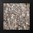 thumbnail image 2 of Frank, Assaf 15x15 Black Modern Framed Museum Art Print Titled - Silver Alliums, 2 of 5