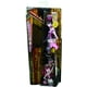 Monster High Poupée Boo York, Boo York Frightseers Draculaura – image 5 sur 5