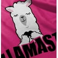 thumbnail image 5 of Llamaste Namaste Spiritual Llama Toddler Boy Girl T Shirt Infant Toddler Brisco Brands 12M, 5 of 6