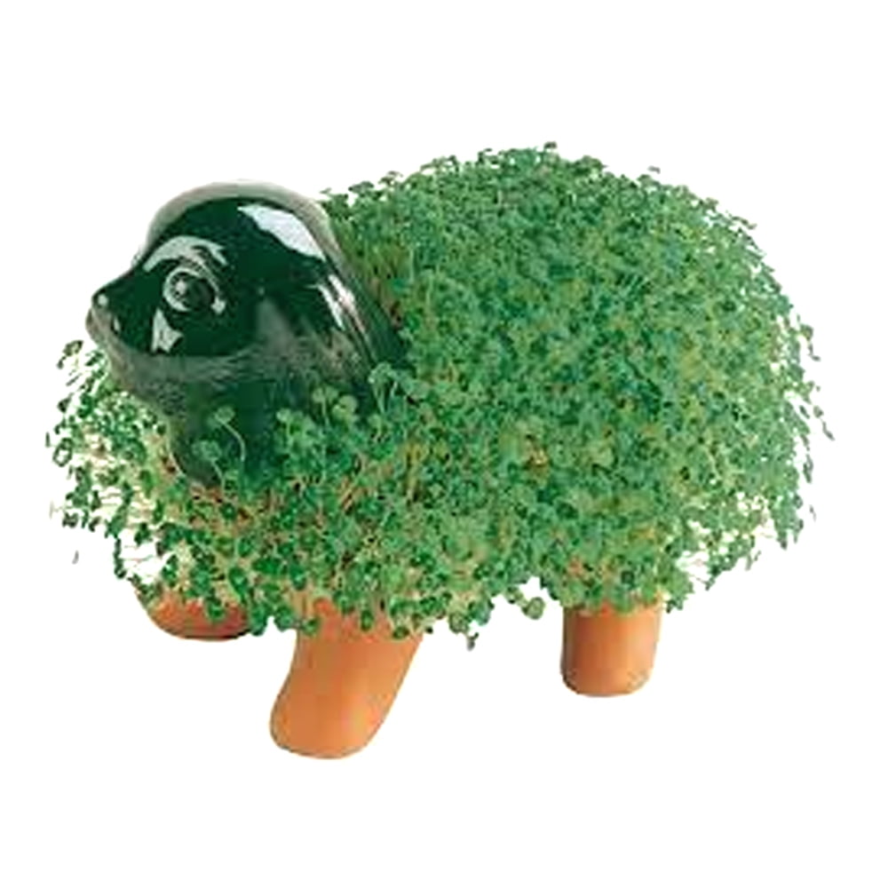 Chia Pet Puppy - Decorative Pot Easy to Do Fun to Grow Chia Seeds