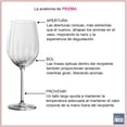 thumbnail image 3 of Copa Schott Zwiesel de Cristal Tritan Serie Prizma Bordeaux Anti Rayaduras 19 Oz. Paquete 6 pzas, 3 of 5