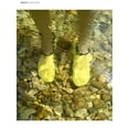 thumbnail image 4 of BadPiggies Water Skin Shoes Barefoot Quick-Dry Aqua Beach Yoga Stripe Socks for Men Women Kids (Yellow, 3XL), 4 of 7