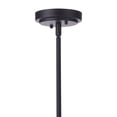 thumbnail image 4 of Craftmade Lighting - Briscoe - 1 Light Outdoor Pendant-10.24 Inches Tall and, 4 of 9