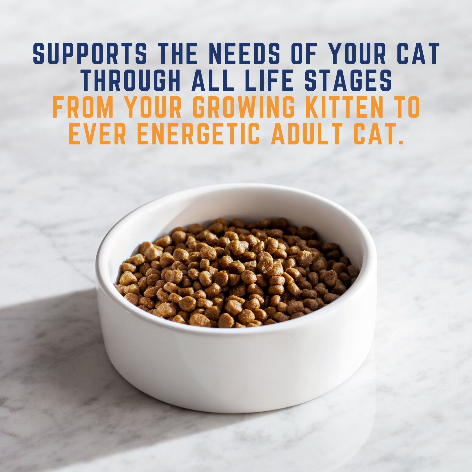 Natural balance original ultra whole body health kitten to adult cat dry food hotsell