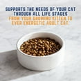 thumbnail image 6 of Natural Balance Original Ultra Chicken Meal & Salmon Meal Formula Dry Cat Food, 15 Pounds, 6 of 9
