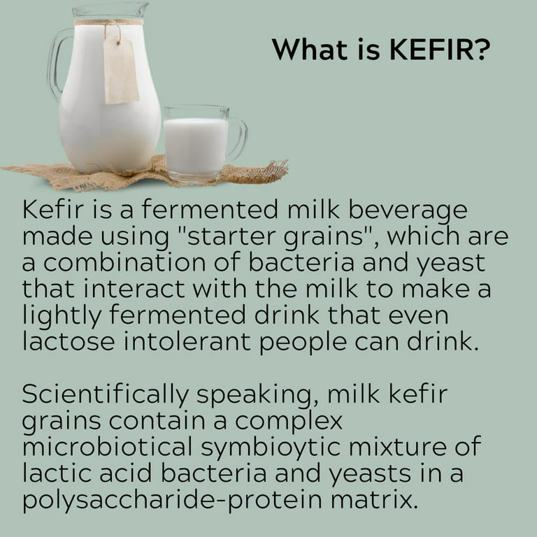 Water or Milk Kefir POWDER or LIVE Grains Lebanese Probiotic Starter  Organic (Water Kefir Grains Live)