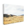 thumbnail image 3 of Stupell Montana Plains Rural Countryside Landscape Painting Gallery Wrapped Canvas Print Wall Art, 3 of 5