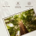 thumbnail image 6 of Elephant Stock Waipoua Kauri Trees Wall Art - Horizontal Canvas Wall Art - Living Room Wall Decor - Floral And Botanical Canvas - Green And Gray Decor - 30" x 20", 6 of 8
