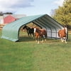 ShelterLogic 58432 22x20x10 Peak Style Run In-Hay Storage Shelter- Green Cover
