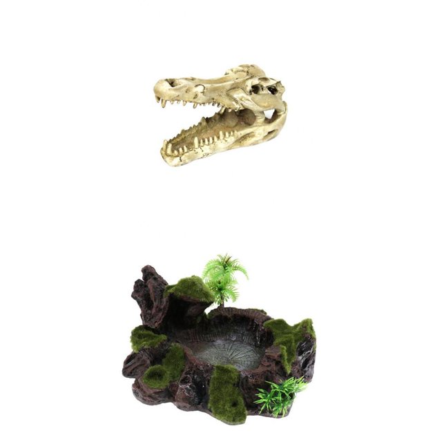 Cuenco de Resina Alimentador de Alimentos Terrario Tanque de Reptiles Sunnimix Plato de agua de comida de reptil
