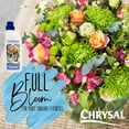 Chrysal Full Bloom Liquid Flower Food Clear, Concentrated Formula for