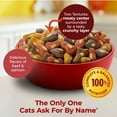 thumbnail image 6 of Meow Mix Tender Centers with Basted Bites, Beef & Salmon Flavors, Dry Cat Food , 3 lb. Bag, 6 of 10