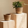 thumbnail image 4 of Handwoven Straw Plant Basket with Leak-Proof Liner - Chic Home Decor!, 4 of 12